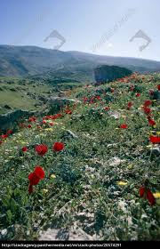 Der iran ist ein faszinierendes land mit beeindruckender geschichte. Landschaft Nahe Shiraz Der Iran Mittlere Osten Lizenzpflichtiges Bild 20574291 Bildagentur Panthermedia