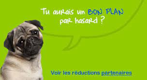 Le détail complet de la pollution dans votre ville. Controle Technique Vic En Bigorre Securitest Vic En Bigorre