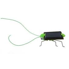 ✓ free for commercial use ✓ high quality images. Solar Powered Animal Figure Cricket Solarcosa 2 95