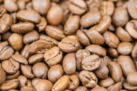 The 4 Main Types Of Coffee Beans A Complete Guide Coffee