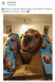 Customize your own socks with the photo of your choice! This 20 Year Old Makes Over 1 Million By Selling Custom Dog Socks By Thakur Rahul Singh Better Marketing Medium