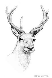 We did not find results for: 85 Animale È™i PÄƒsÄƒri Desen In Creion Ideas In 2021 Desen PÄƒsÄƒri Animale