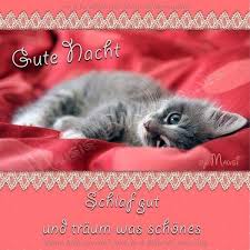 Guten Abend Spruche Kostenlos Bilder Und Spruche Fur Whatsapp Und Facebook Kostenlos