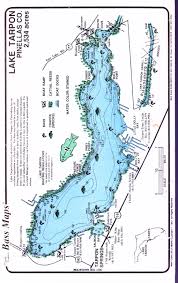 Lake Tarpon Maps