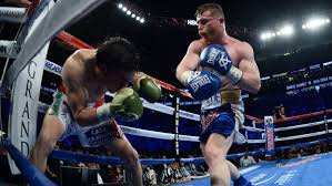 The wbo super welterweight champion has his next fight set before meeting ggg. Canelo Alvarez Julio Cesar Chavez Jr Bout Expected To Surpass 1m Ppv Buys