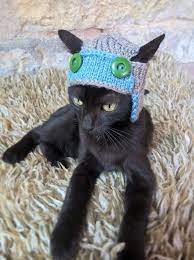 Aviator Cat Costume Aviator Hat For Cat Pet Pilot Costume Crochet Pilot Pet Outfit Pet Costume Handmade Catinhat Hat For Cat Pet Costumes Kitten Clothes