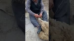 Paradan tasarruf edebilirsiniz ve malzemenin kuru temizlemeden sonra kullanılamaz hale gelmesinden endişelenmeyin, evde dış giyim temizliği için birçok seçenek var. Kirik Koyun Aya Sarma Omer Dede Den Hatira Youtube