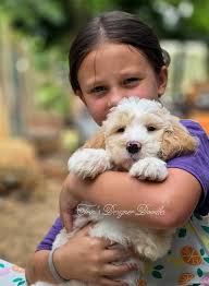 Trin's Designer Doodles added a...