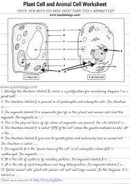 How are animal cells different from plant cells? Plant Cell And Animal Cell Diagram Worksheet Pdf