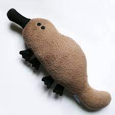 Janine The Platypus Plush Free Shipping Door Lapetiteecharlotte Platypus Cute Stuffed Animals Animal Dolls