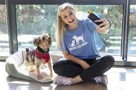 We find homes for thousands of dogs, cats, rabbits and other pets every week. Pedigree S Dogs On Zoom Free Adoption Event Dfwchild