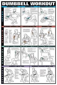 dumbbell workout google search workout posters dumbbell