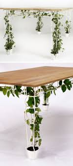 6 Home Design Ideas On How To Use Indoor Vines Indoor Vines Plants Indoor Design Garden Home Office