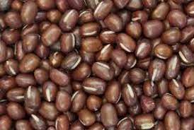Check spelling or type a new query. Lima Jenis Kacang Lezat Selain Kacang Merah Dan Kedelai Republika Online