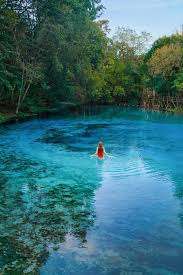 Hardy box canyon springs nature preserve, one of the five units that make up thousand springs state park. Tips For Gilchrist Blue Springs A Natural Florida Paradise Florida Trippers