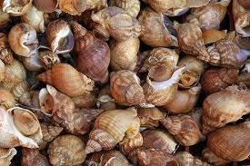 Bulots Plateau De Fruits Plateau De Fruits De Mer Fruits De Mer