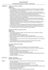 Cyber security, paralegal, legal studies, criminology. Political Science Resume Samples Velvet Jobs