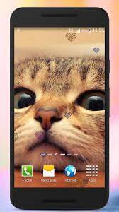 Maybe you would like to learn more about one of these? Schattige Dieren Achtergrond For Android Apk Download