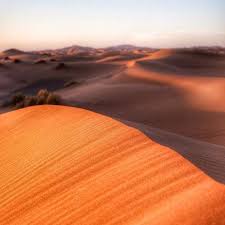 Beneath the snow and the fallen. Merzouga Sahara Desert Night Sky Picture Of Morocco Sahara Holiday Casablanca Tripadvisor