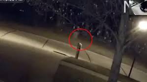 Ver y descargar películas y series en latino, español, subtitulado e ingles, los últimos estrenos en la mejor calidad hd sin cortes. Un Supuesto Nino Fantasma Captado En Un Video Tiene En Vilo A La Policia De Ohio