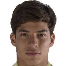 Senior learning advisor en cemex. Diego Lainez Submissions Cut Out Player Faces Megapack
