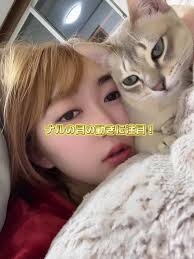 シンガプーラ猫との生活とアレルギーの驚き
