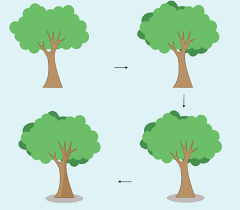 Maybe you would like to learn more about one of these? Cara Membuat Gambar Pohon Sederhana Siswapedia