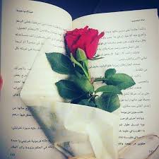 Pin Sirf Tum In 2020 Book Flowers Pastel Pink Aesthetic Rose Art