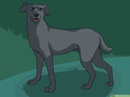 Download as an image file. How To Draw A Dog With Pictures Wikihow