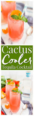 The cactus cooler cocktail is the perfect summer drink when your having a picnic or by the pool. Cactus Cooler Tequila Cocktail Sugar And Soul