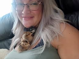 Should I put one chick with a broody hen?