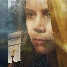 An agoraphobic woman living alone in new york begins spying on her new neighbors, only to witness a disturbing act of violence. The Woman In The Window Doctorisin Twitter