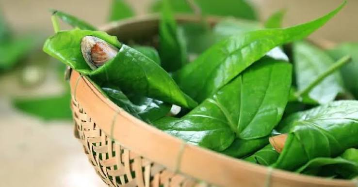 V&igrave; sao nh&agrave; c&oacute; &ldquo;Trầu hai ngọn, cau lại buồng&rdquo; lại được dự b&aacute;o gi&agrave;u sang?