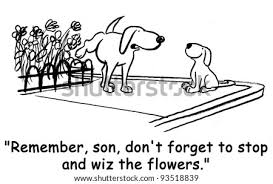 New users enjoy 60% off. Cartoon Dog Images Search Images On Everypixel