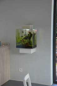 Accesorios Y Alimentos Para Mascotas Tienda Para Mascotas Online Zooplus Aquarium Design Custom Aquarium Nano Aquarium