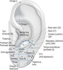 Auriculotherapy An Overview Sciencedirect Topics