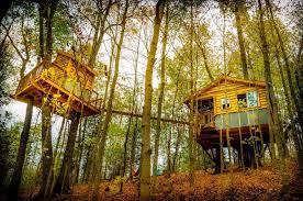 The red river gorge area, kentucky! 10 Dreamy Treehouse Rentals In Kentucky For 2021 Trips To Discover