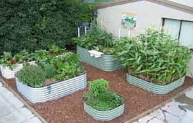 Birdies Raised Garden Beds Review Modern Birdies Raised Garden Bed Ideas Raised Garden Beds Garden Planning Garden Beds