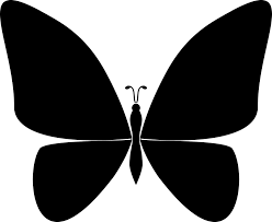 Kết quả hình ảnh cho bướm