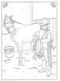 Een paard heeft een 6de zintuig! Quirine Regout Quirineregout Profile Pinterest