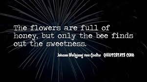 They are the only insect in the world that makes food that humans can eat! Top 51 Quotes About Bee And Flower Famous Quotes Sayings About Bee And Flower