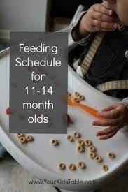 Easy Feeding Schedule For 1 Year Olds Your Kid S Table Baby Food Recipes Homemade Baby Foods Toddler Meals