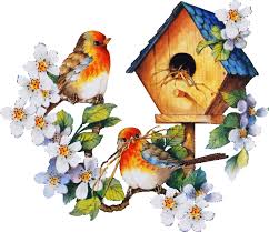 Bird Is The Word Gif With Sound Https Encrypted Tbn0 Gstatic Com Images Q Tbn 3aand9gcsvaavjv0vvwhzavjrlk9 Fmumldclfyuougq Usqp Cau