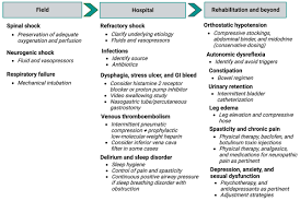 Image result for Spinal Shock