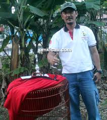 Jika anda adalah seorang pemelihara dan penggemar burung ocehan atau burung balap kalau bisa mendatangkan hoki bagi pemiliknya. Murai Batu Raja Hoki Burung Rusak Yang Moncer Kembali Di Tangan Om Defry Cinere Om Kicau