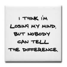 Quotes About Losing Your Mind 56 Quotes
