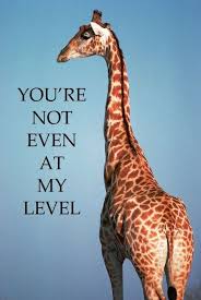 12 Funny Giraffe Memes That Will Make Your Day Giraffe Quotes Funny Giraffe Giraffe Pictures