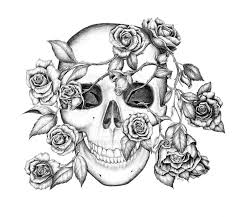 Pin On Beautiful Pictures
