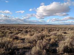 Check out oregon property records and related public information, such as or assessments, home values and property details, here on realtor.com®. 80 Acres Recreational Property Land For Sale In Princeton Harney County Oregon 188209 Landflip