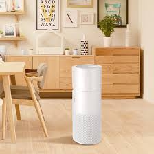It uses a true hepa filter. Air Purifier For Home Allergies Pets Hair Smokers In Bedroom With Humidifier